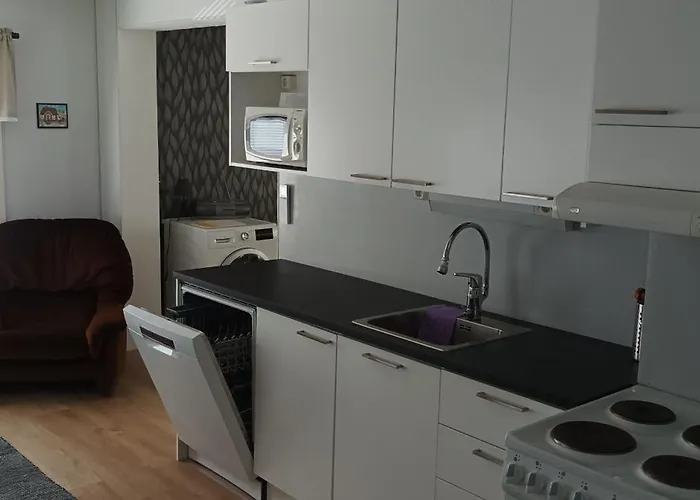 Veteli 别墅 Veteli